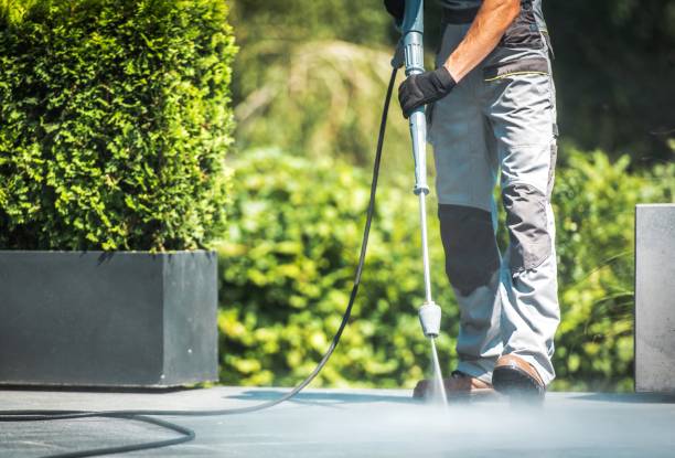 Animal Enclosure Cleaning in Timonium, MD